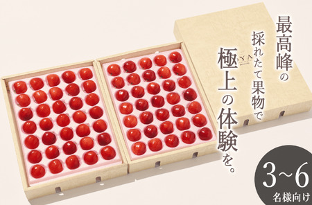 ＜2025年発送分先行予約＞山梨県産 大粒さくらんぼ“紅秀峰”2L,3Lサイズ 70粒入 ALPAL018