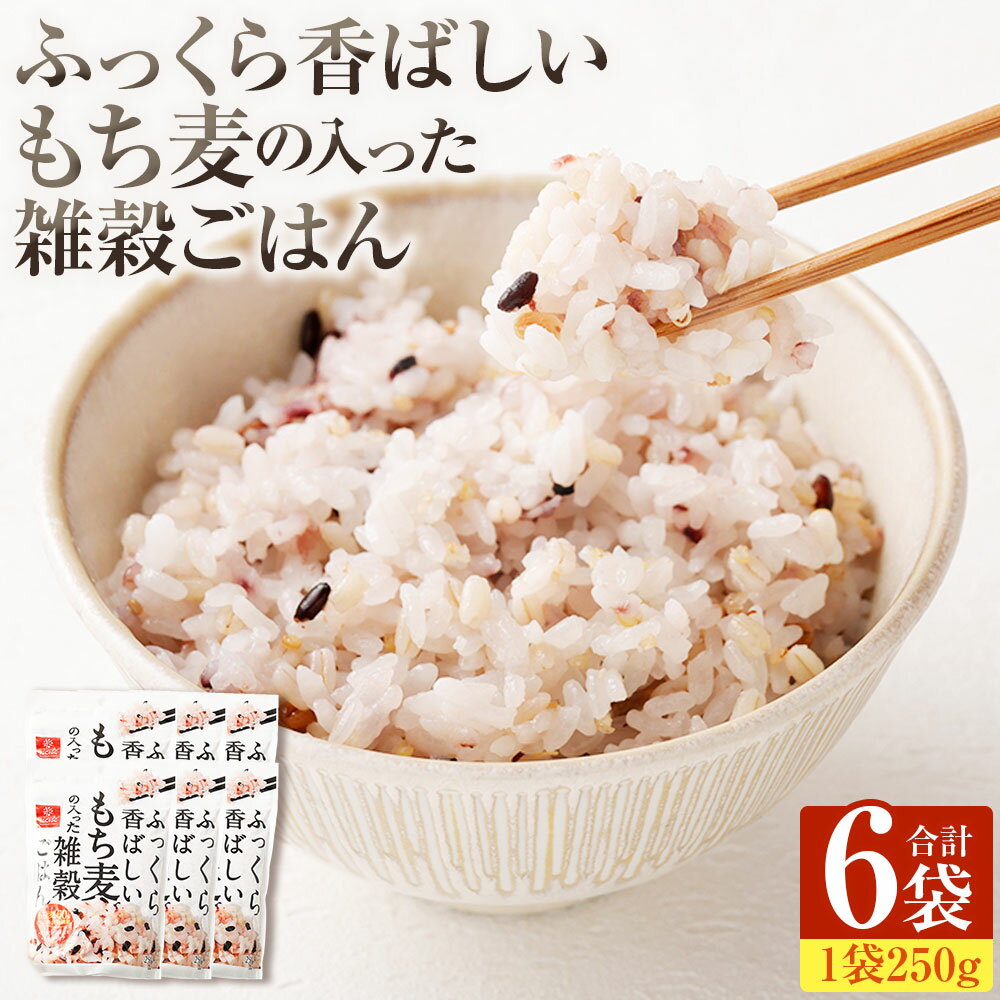 【ふるさと納税】ふっくら香ばしいもち麦の入った雑穀ごはん 計1.5kg（250g×6袋） 雑穀ごはん 雑穀米 お米 もち麦 発芽玄米 キヌア はと麦 ごはん ご飯 健康 美容 国産 山梨県 中央市 送料無料