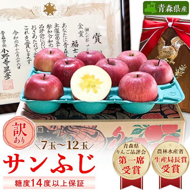 「サンふじ」約3kg(糖度14度以上保証・訳あり家庭用)【先行受付】_A1-808【配送不可地域：離島】