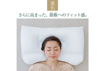 新・王様の夢 枕 ピロー まくら【104-000500-210】