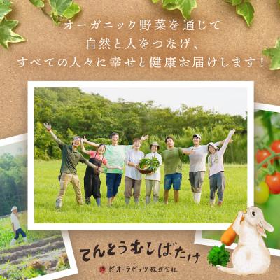 ふるさと納税 京丹後市 【有機JAS認定 有機野菜】オーガニック野菜セット(2人用、おまかせ6〜7種類前後) |  | 03