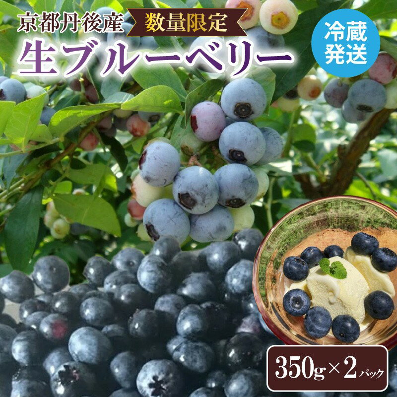 【ふるさと納税】 【先行予約／数量限定80】国産 京都丹後ブルーベリー 350g×2パック（2026年7月上旬～発送） 生 ぶるーべりー 果物 完熟 2パック 期間限定 国産 ふるさと納税 フルーツ 農薬不使用 大粒 完熟 期間限定 2026年産 令和8年産 農家応援 送料無料