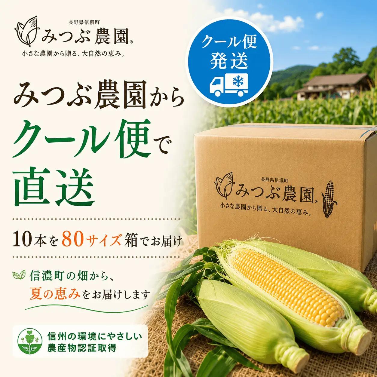 朝採れ極甘とうもろこし10本セット みつぶ農園【長野県信濃町・数量限定】