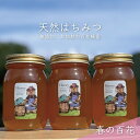 【ふるさと納税】合計1800g 天然蜂蜜 国産蜂蜜 非加熱 生はちみつ 岐阜県 美濃市産 春 (蜂蜜600g入りガラス瓶3本セット)A7　【 ハニー 調理 料理 味付け 甘味 百花蜜 深い味わい 自然の味 無添加 】