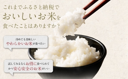 【 6ヶ月定期便 】 阿蘇のお米 12kg（6kg×2個）×全6回 米 コメ お米 こめ ご飯 飯 白米 白飯 国産 熊本県産