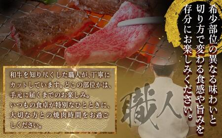 牛肉好き必見!宮崎牛希少部位の焼肉☆お楽しみ3種盛(100g×3種)_14-J702_(都城市) 宮崎県産 宮崎牛 希少部位イチボ ランプ ミスジ トモサンカク シンシン クリ から厳選 100g×3