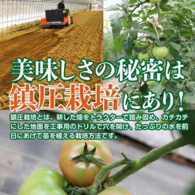 ふるさと納税 矢吹町 自家製トマトソース6本セット【岡崎農園こだわりの逸品】 |  | 01