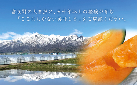 メロン ふらの 赤肉 富良野産 メロン【2玉 計3.2kg以上】大島農園