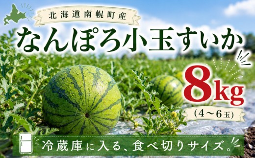 【8月発送】北海道産 小玉スイカ 8kg なんぽろ小玉すいか 令和7年度産 8月発送開始 南幌町 NP1-270
