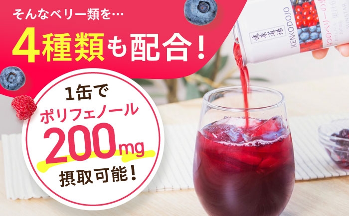 健康飲料 野菜飲料 野菜ジュース 無添加 果物 栄養バランス ベリー 大容量