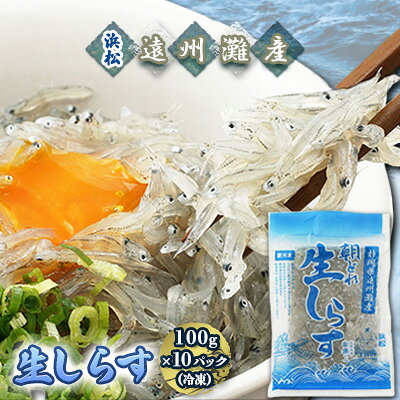 【ふるさと納税】【数量限定】浜松生しらす 冷凍 静岡県遠州灘産 100g×10パック 10袋 小分け 魚貝類 グルメ　お届け：※お届けに1ヶ月前後かかる場合がございます。