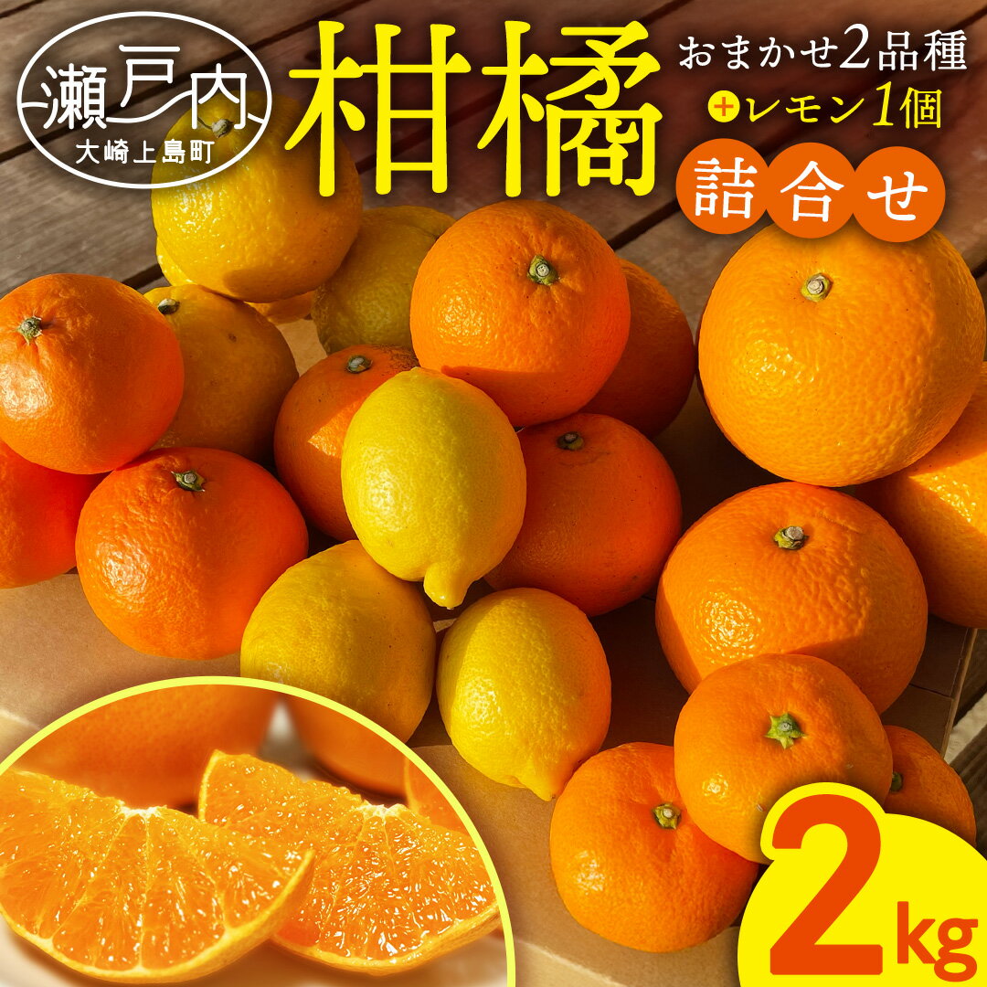 【ふるさと納税】お試し 旬の柑橘 約2kg の 詰め合わせ ( おまかせ2品種 と レモン ) 瀬戸内レモン 八朔 はっさく 柑橘 蜜柑 ミカン 檸檬 れもん せとか はるか デコポン ポンカン フルーツ 果物 詰合せ くだもの