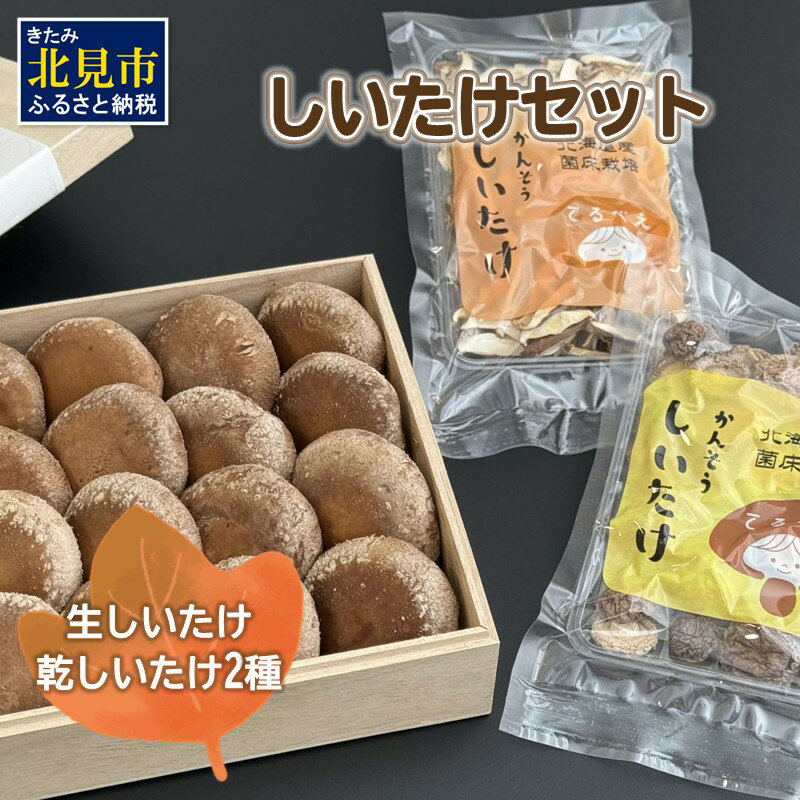 【ふるさと納税】【木箱入】北海道産 生しいたけ(菌床) 乾しいたけ(ひと口・スライス)セット