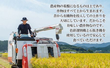 数量限定 【令和7年産先行予約】 山形県庄内産 小池半左衛門のお米 特別栽培米 つや姫 無洗米 10kg (5kg×2袋)