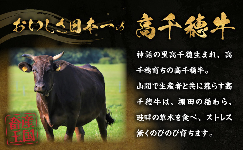 高千穂牛ローストビーフ 200g  A131