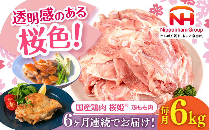 【全6回定期便】桜姫 鶏もも 計6kg （2kg×3パック）《厚真町》【東日本フード株式会社】 桜姫 国産鶏肉 鶏肉 鶏 とり肉 もも もも肉 鶏もも 冷凍 北海道 [AXBM039]