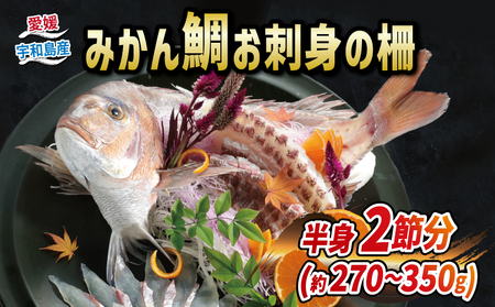 真鯛 みかん 鯛 270g ~ 350g 半身 刺身 柵 2節 宇和島プロジェクト マダイ タイ 真鯛刺身 真鯛カルパッチョ 真鯛お造り鯛 真鯛  mikan 柑橘  D012-071001