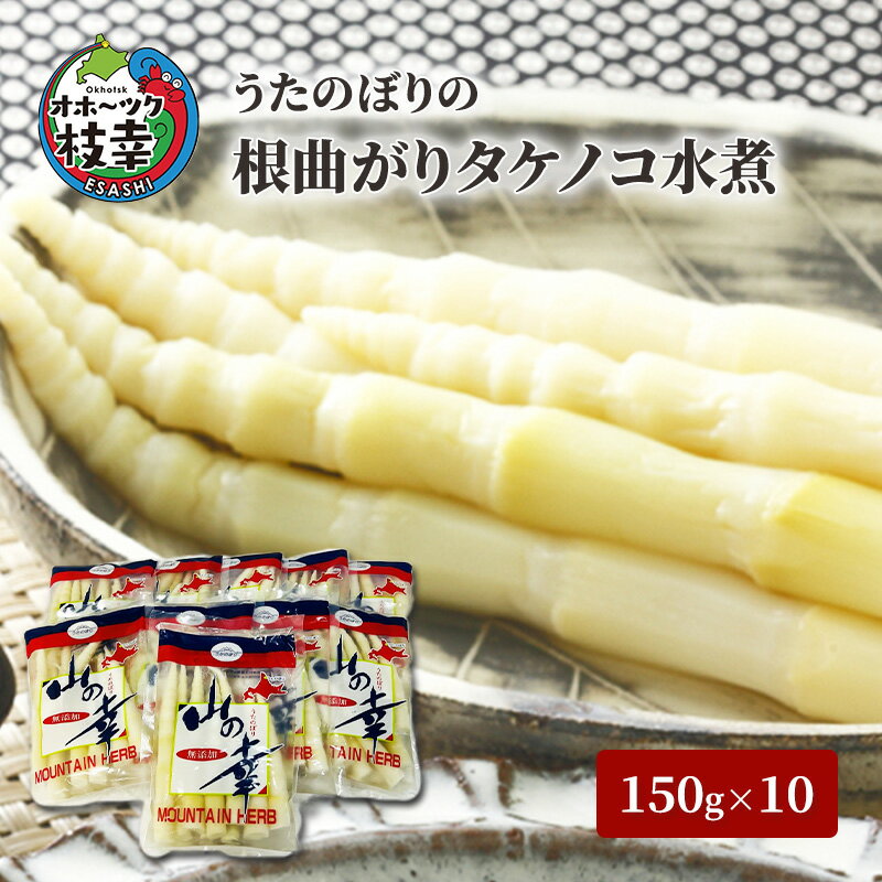 【ふるさと納税】うたのぼりの根曲がりタケノコ水煮150g×10【オホーツク枝幸】惣菜