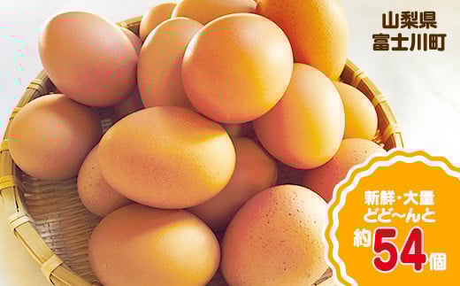 
                  ＼２～５日以内発送／ 初たまご プレミアムひまわりたまご54個程度※破卵補償  卵 たまご 鶏卵 玉子 大容量 たまごかけご飯 たまごかけごはん 最短 濃厚
                