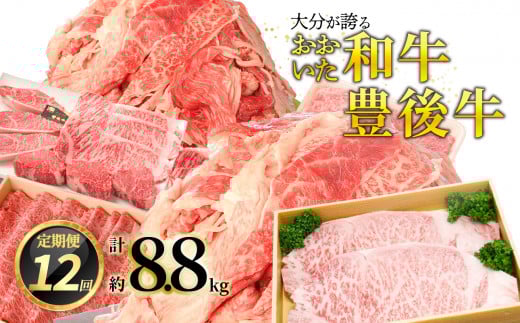 【プレミアム定期便】大分が誇る おおいた和牛・豊後牛毎月お届け定期便（12回） 大分県 おおいた和牛 お肉 豊後牛 ブランド牛 定期便 料理 すき焼き カルビステーキ 焼肉 T10020