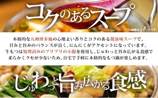 牛もつ鍋 醤油味 9人前（3人前×3セット） PE002