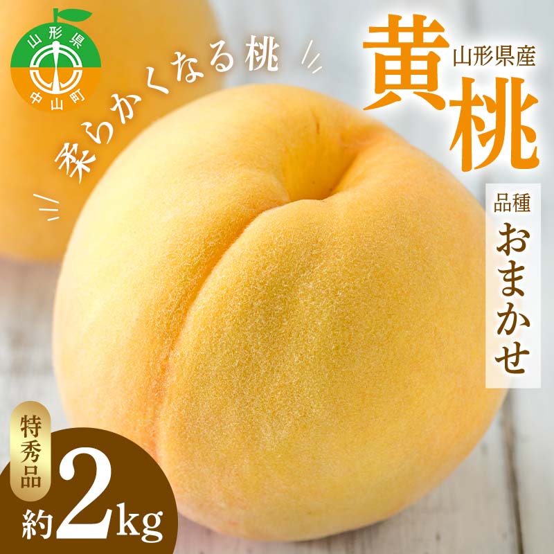 【ふるさと納税】《2026年先行予約》山形県産 黄桃 品種おまかせ 特秀品 柔らかくなる桃 約2kg（黄金桃、スイート光黄、黄ららの極み、黄貴妃 他） F4A-0468