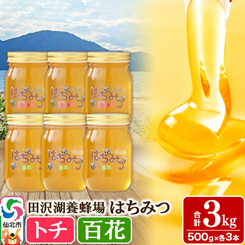 【ふるさと納税】秋田県産はちみつ（トチ・百花）500g×各3本 合計3kg 化粧箱入り 詰め合わせセット 田沢湖養蜂場