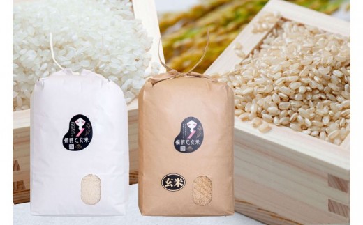 令和8年産 新米 先行予約 備前乙女米 白米10kg×1袋 玄米10kg×1袋 岡山県産 | 米 お米 白米 精米 玄米 特A きぬむすめ 石原果樹園 【ishk043-01】