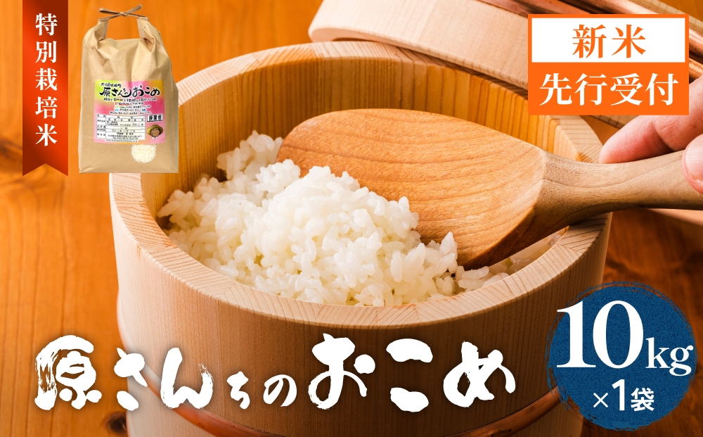 【令和8年産米先行受付】原さんちのお米 白米 10kg ひのひかり 米 お米 こめ コメ  ご飯 ヒノヒカリ 常温 大分県 大分 玖珠町 玖珠