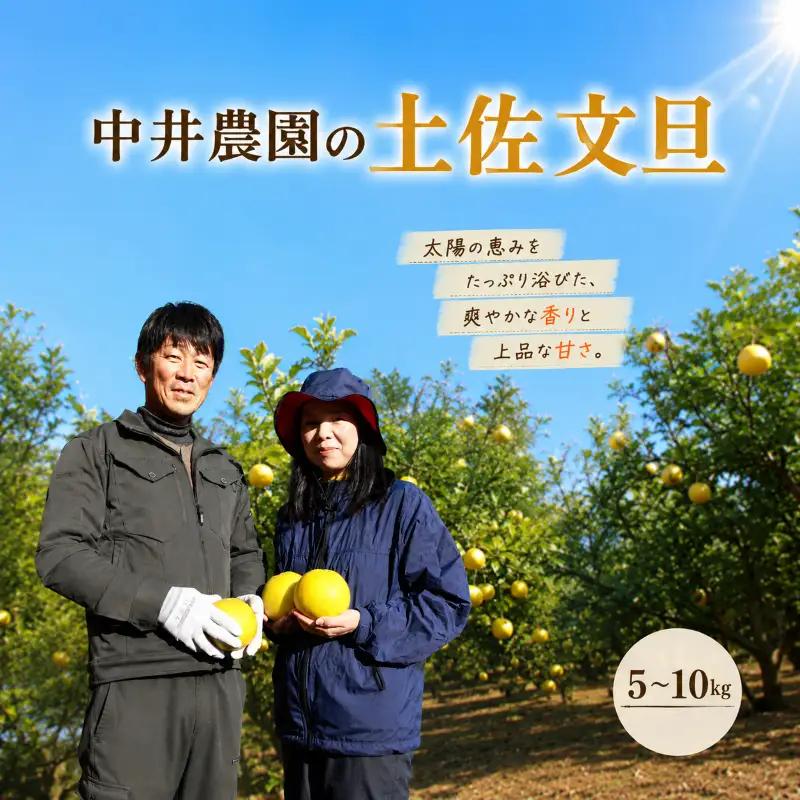 文旦 10kg 家庭用 中井農園