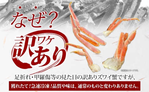 3391. 訳あり ズワイガニ 蟹足 ボイル 計1kg 2-3人前 数量限定 足折れ 欠け 甲羅傷 カニ 塩茹で 蟹 茹で かに ズワイ ズワイ蟹 ずわい ずわい蟹 ずわいがに 海鮮 冷凍 訳アリ 送料無料 北海道 弟子屈町
