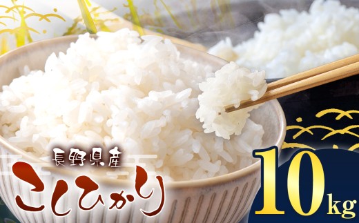 伊那市産 こしひかり 10kg｜ 米 コシヒカリ こしひかり 白米 ご飯 お米 伊那 伊那産 長野県 ふるさと納税 【026-14】