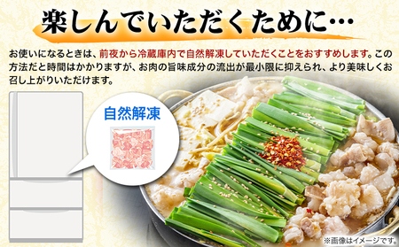 もつ鍋 博多 牛もつ鍋 セット 3-4人前 株式会社木村食品《30日以内に出荷予定(土日祝除く)》福岡県 