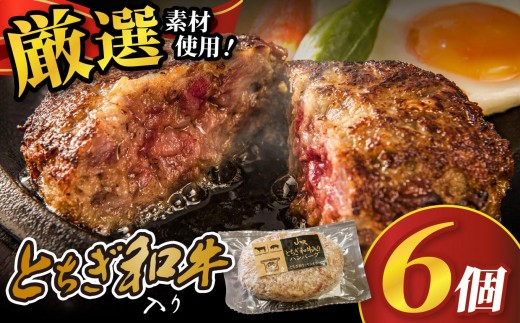 とちぎ和牛入りハンバーグ (1個150g)×6個 900g | 和牛 高級 ハンバーグ グルメ 栃木県 矢板市