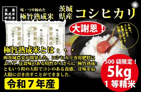 【5kg】茨城県産 コシヒカリ　1等精米5kg ／ 令和7年 新米 米 お米 こめ コメ 精米 白米 ご飯 国産米 5kg 5キロ コシヒカリ こしひかり 甘み 粘り 香り ツヤ おいしい お取り寄せ 産地直送 産直 茨城県 No.865