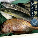 【ふるさと納税】【能登半島地震復興支援】能登の鮮魚丸ごとセット【2～3人前】