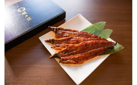 [特大] 国産 関西風地焼き うなぎ 1尾【白焼】1尾 180g以上 ｜ うなぎ 泉大津 鰻 蒲焼き 冷凍鰻 活鰻 鰻次郎 うな重 土用の丑の日 お取り寄せ 高級 うなぎの日 ウナギ unagi ※離