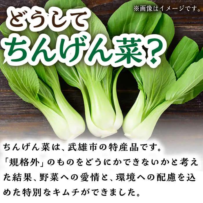 【12回定期便】ちんげん菜キムチ 2袋 /おかわりのうえん [UDD008] 漬物 キムチ