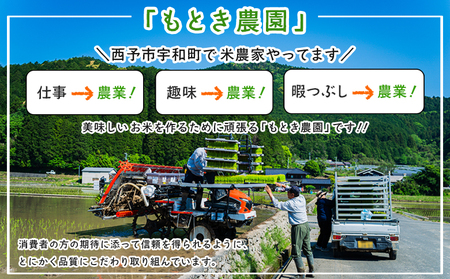 【先行予約】＜令和8年産 愛媛県西予市産 コシヒカリ 5kg（3回定期便）＞ 定期便 お米 コメ こめ 白米 精米 ご飯 新鮮 5キロ 愛媛県産 宇和町産 こしひかり 特産品 もとき農園 愛媛県 西予
