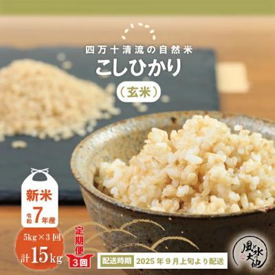 ふるさと納税 四万十市 【令和7年産新米・早期受付・3回定期便】四万十清流の自然米(コシヒカリ)玄米5kg×3回配送