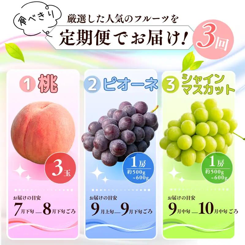 【食べきり定期便】季節の果物 定期便 全3回 白桃・ピオーネ・シャインマスカット 【先行予約 2026年7月下旬から順次発送】