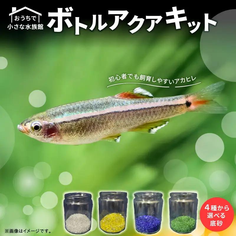 おうちで小さな水族館♪ ボトルアクア キット_BA6002n