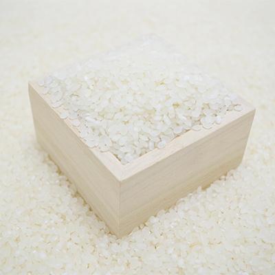 ふるさと納税 開成町 【開成町産米】はるみ　10kg