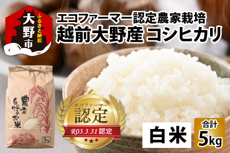 【先行予約】【令和6年産 新米】エコファーマー認定農家栽培 コシヒカリ5kg（白米） [A-001034]