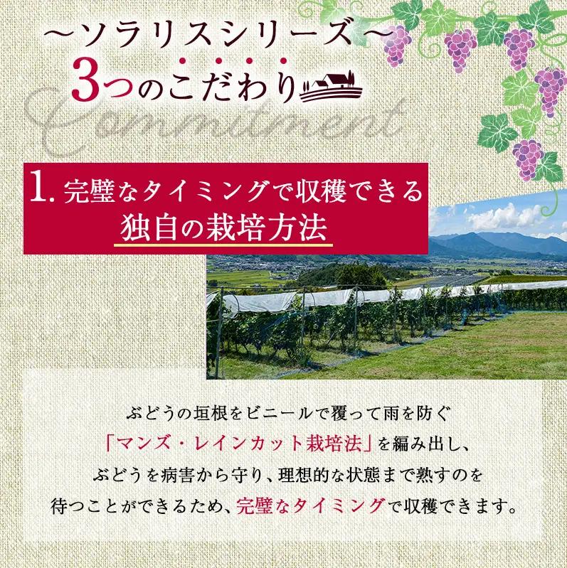 ワイン 赤 ソラリス 小諸 メルロー 750ml×6本 ワイン 