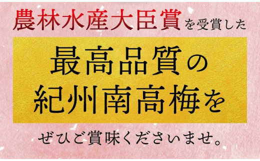 【ご家庭用】最高級紀州南高梅・大粒 食べ比べセット 1.4kg（700g×2種）　（はちみつ・しそ味）【inm800-1A】