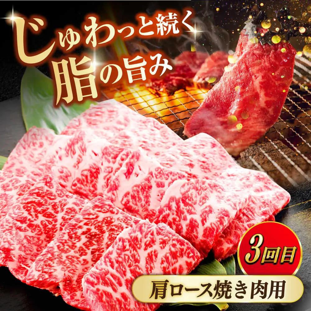 【全3回定期便】奥出雲和牛 牛肉 肩ロース・サーロインセット [AIBQ016] 牛肉