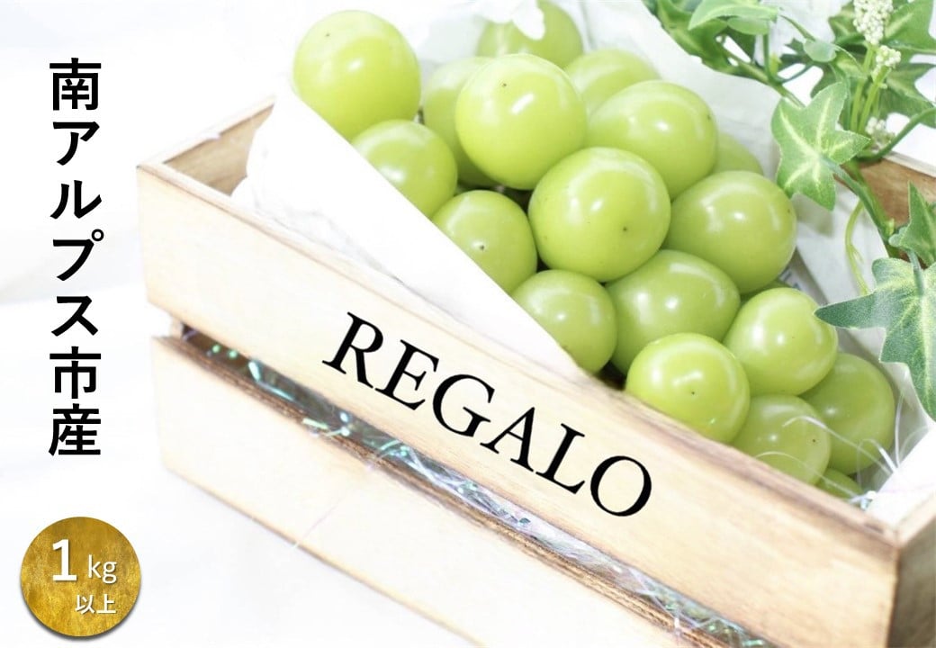 
            ＜2026年発送先行予約＞頬張る幸福感　～ 緑の宝石・シャインマスカット ～　1.0㎏以上 2～3房 ALPCV001
          