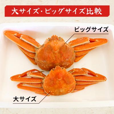 ふるさと納税 様似町 【訳あり】オオズワイガニ ボイル ビッグサイズ  2杯 合計約1.2kg |  | 02