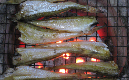 ハタハタ（大）干物 一夜干し 450g ×1箱 魚貝類  海鮮 干物 おつまみ 肴 ハタハタ 酒 myz02 myz11 myz17